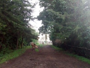 cache/2e/7e/2e7e00079431ebaf557747610293adc2.jpg