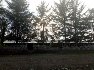 cache/4a/30/4a308983869b61460d3c778ae557a666.jpg