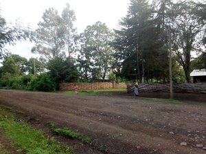 cache/7d/06/7d069ae4742764c887c0d31818fa7d70.jpg