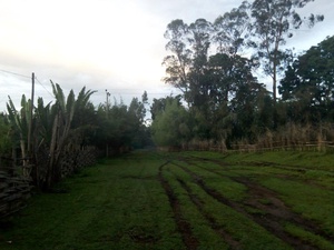 cache/b2/5d/b25d76b99abd8fb3d4efd7b551b89865.jpg