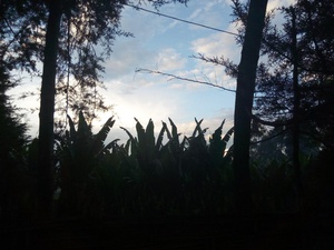 cache/db/4c/db4c9466c0c120cb2fc3802a686eff85.jpg
