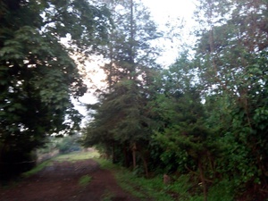 cache/e2/71/e271fe62af2f6cb9f0eb576b2f939c0c.jpg
